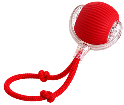 Smart Rolling Pet Ball