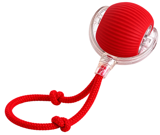 Smart Rolling Pet Ball