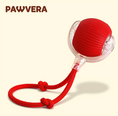 Smart Rolling Pet Ball
